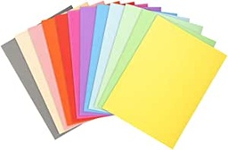 Lote de 100 Subcarpetas